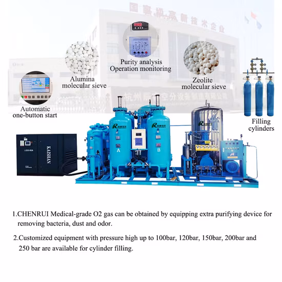 Chenrui Air Separation Plant Medical O2 Oxigen Gas Psa Oxygen Generator Equipment